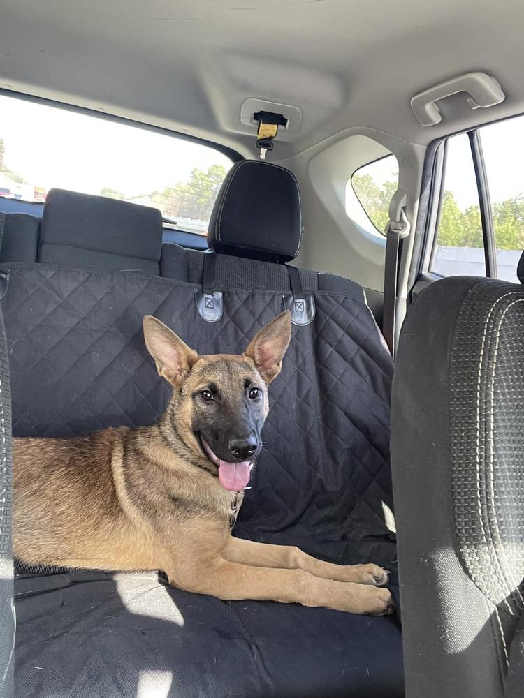 Paisley  Located In thumbnail 5