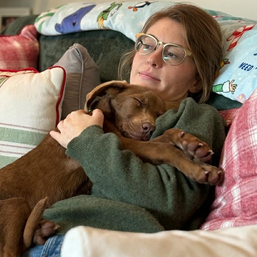 Enlarge Charlie Brown, a ADOPTABLE mixed breed in Bethlehem, PA image 2/6