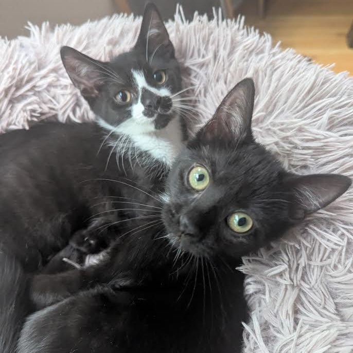 Nano & Colonel