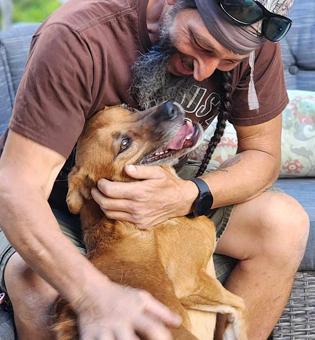 Enlarge Benji, a Adoptable mixed breed in Canterbury, CT image 4/5