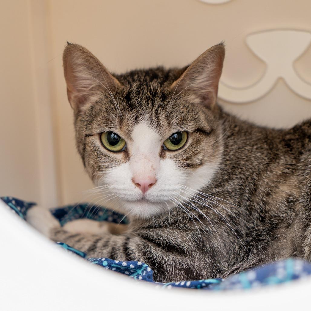 Cardigan thumbnail 2