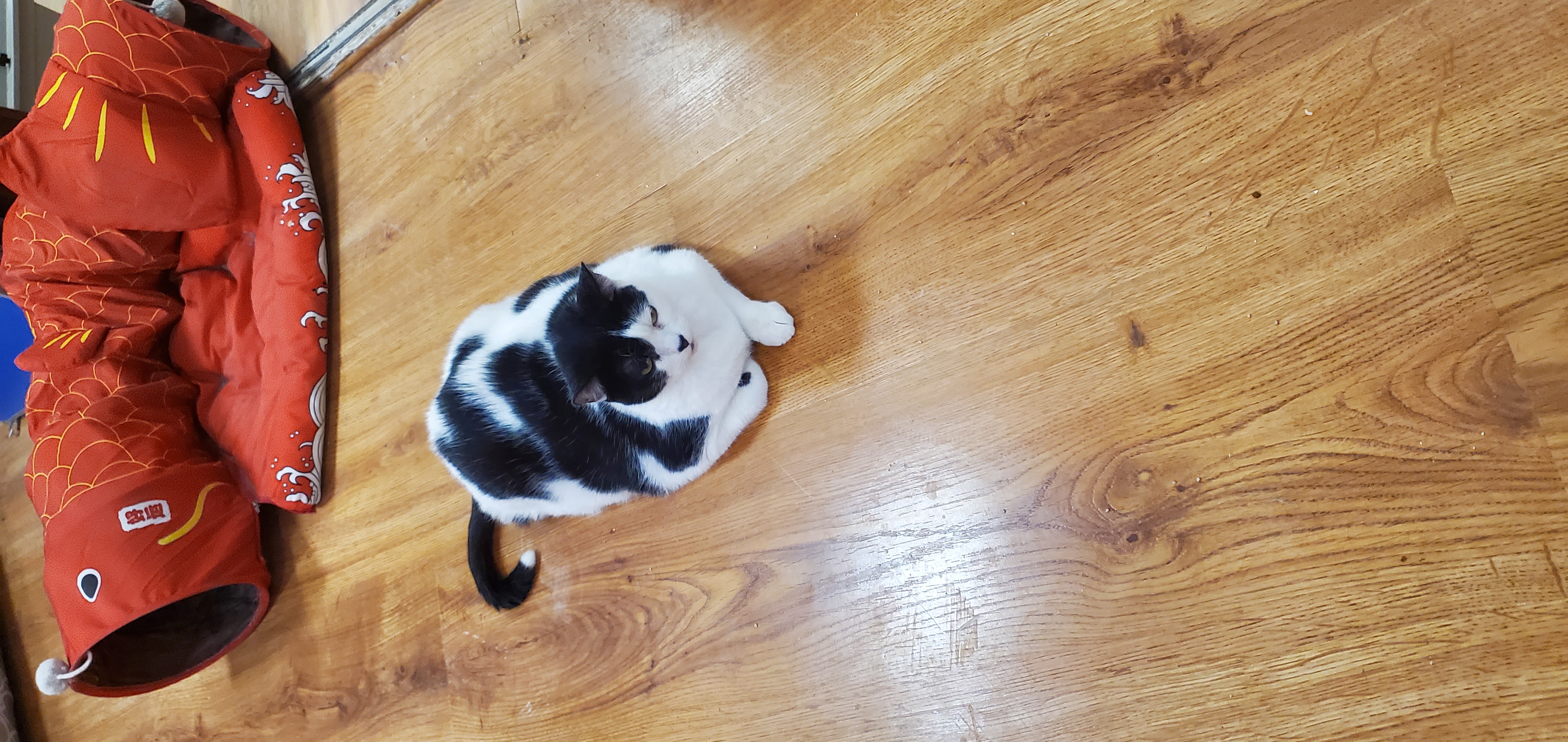Max photo 3