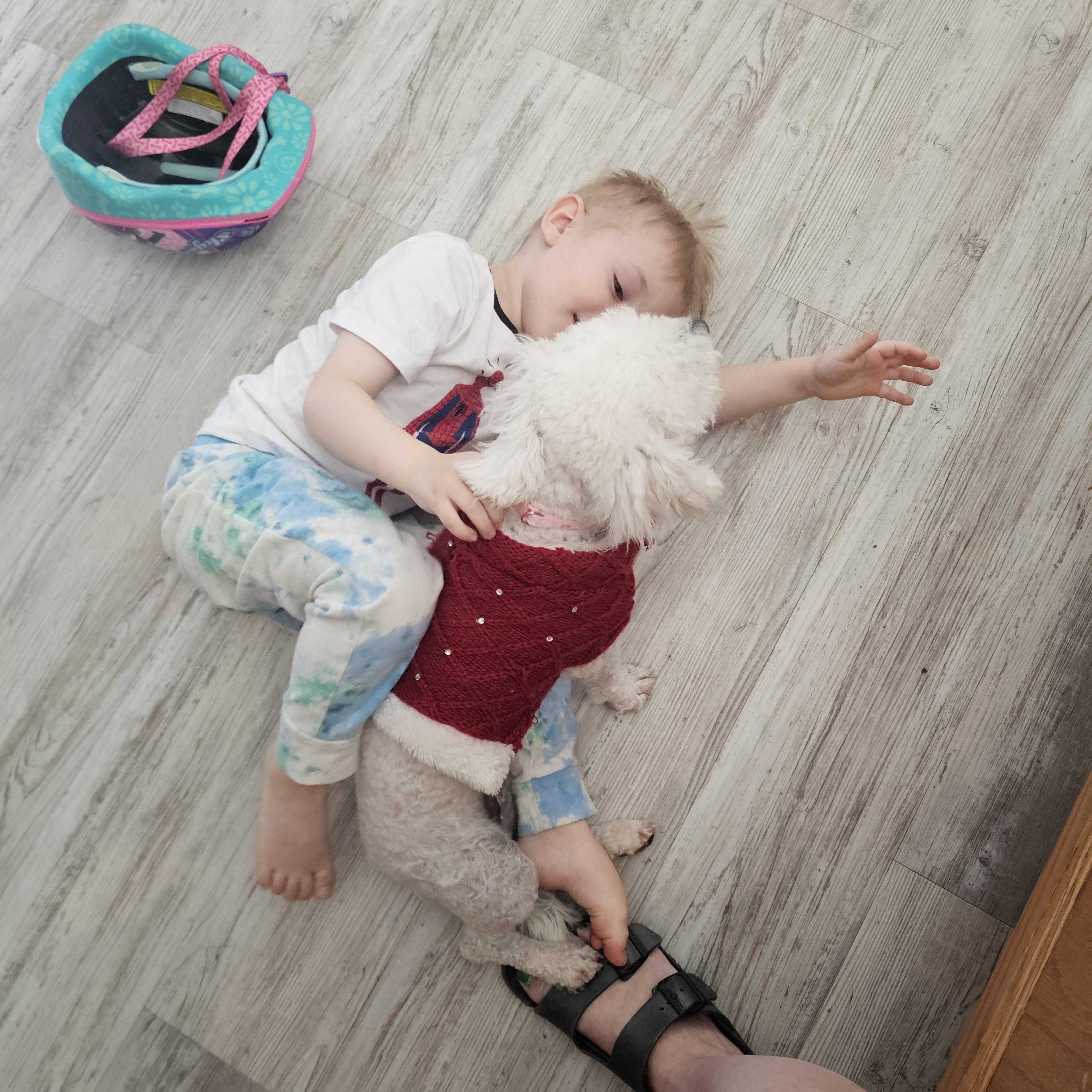 Enlarge Cloudy , an adopted mixed breed in Buckeye, AZ image 3/5