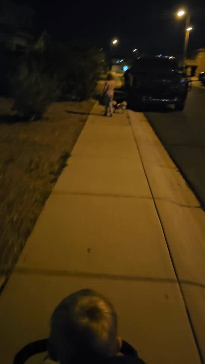 Enlarge Cloudy , an adopted mixed breed in Buckeye, AZ video 5/5