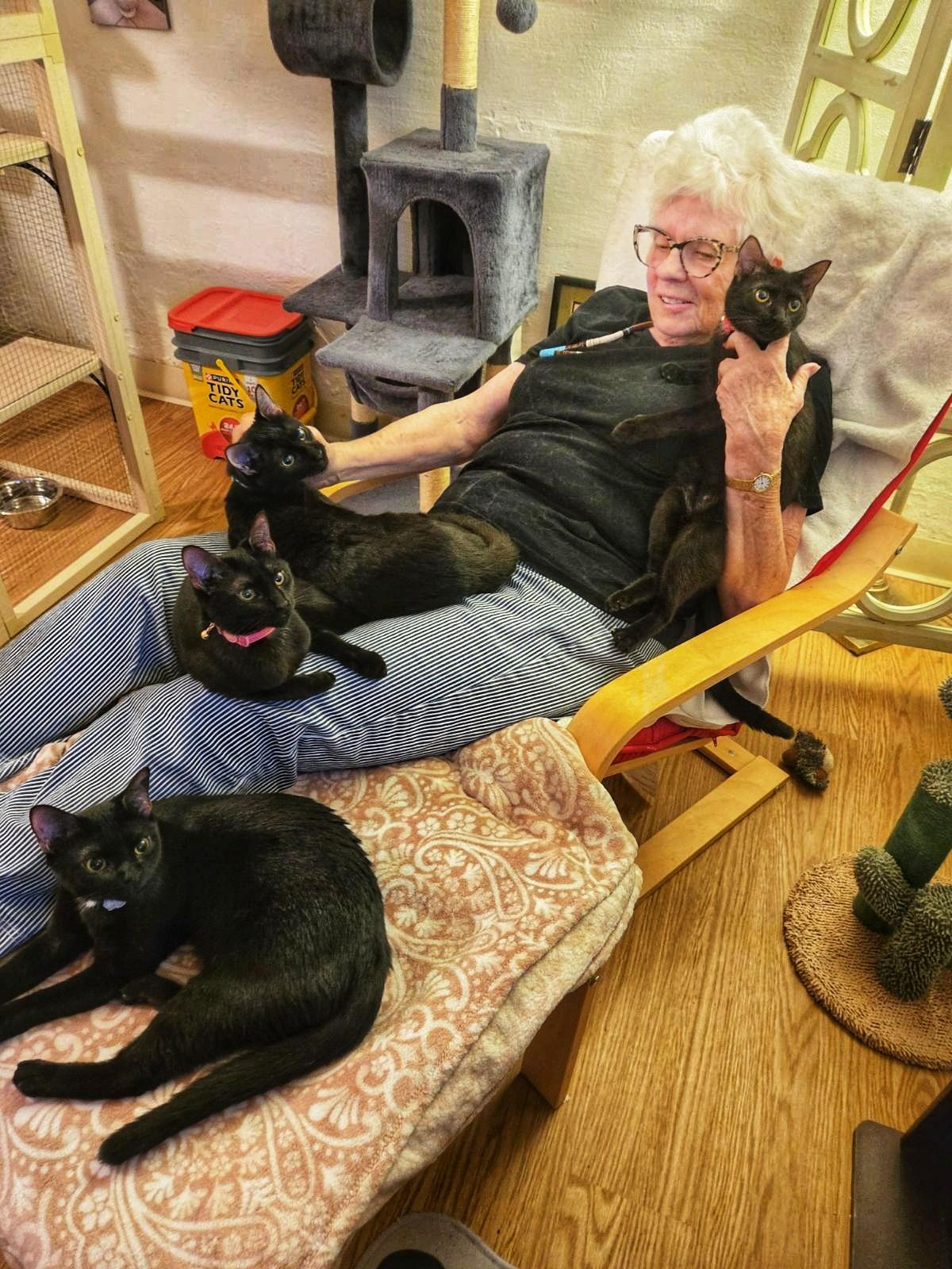 Four Black Beauties (all Female)