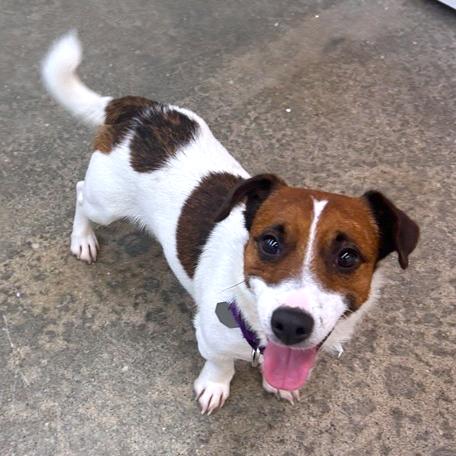 Rupert photo