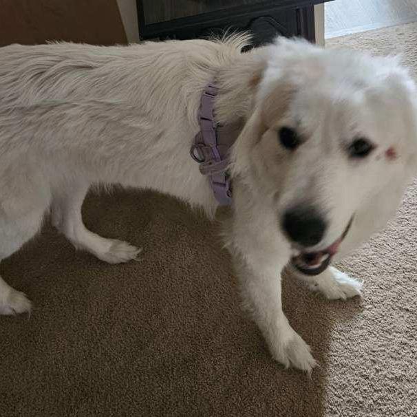 Freya — thumbnail 2