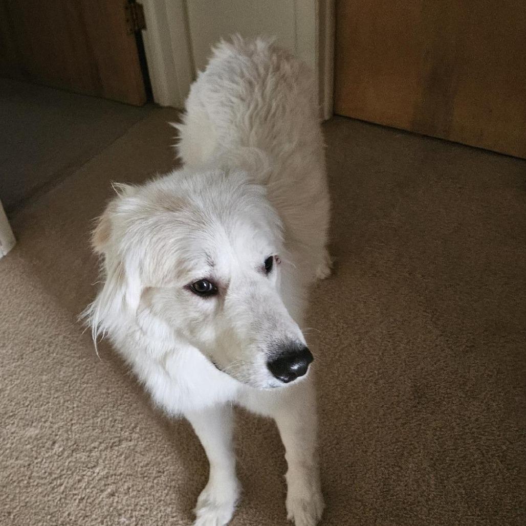 Freya — thumbnail 3