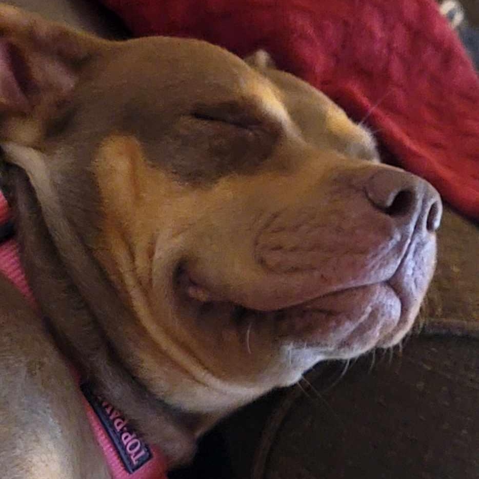 Penny