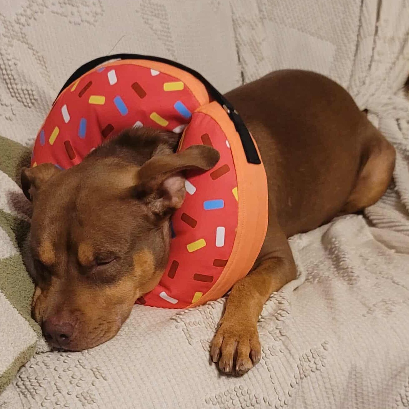 Penny
