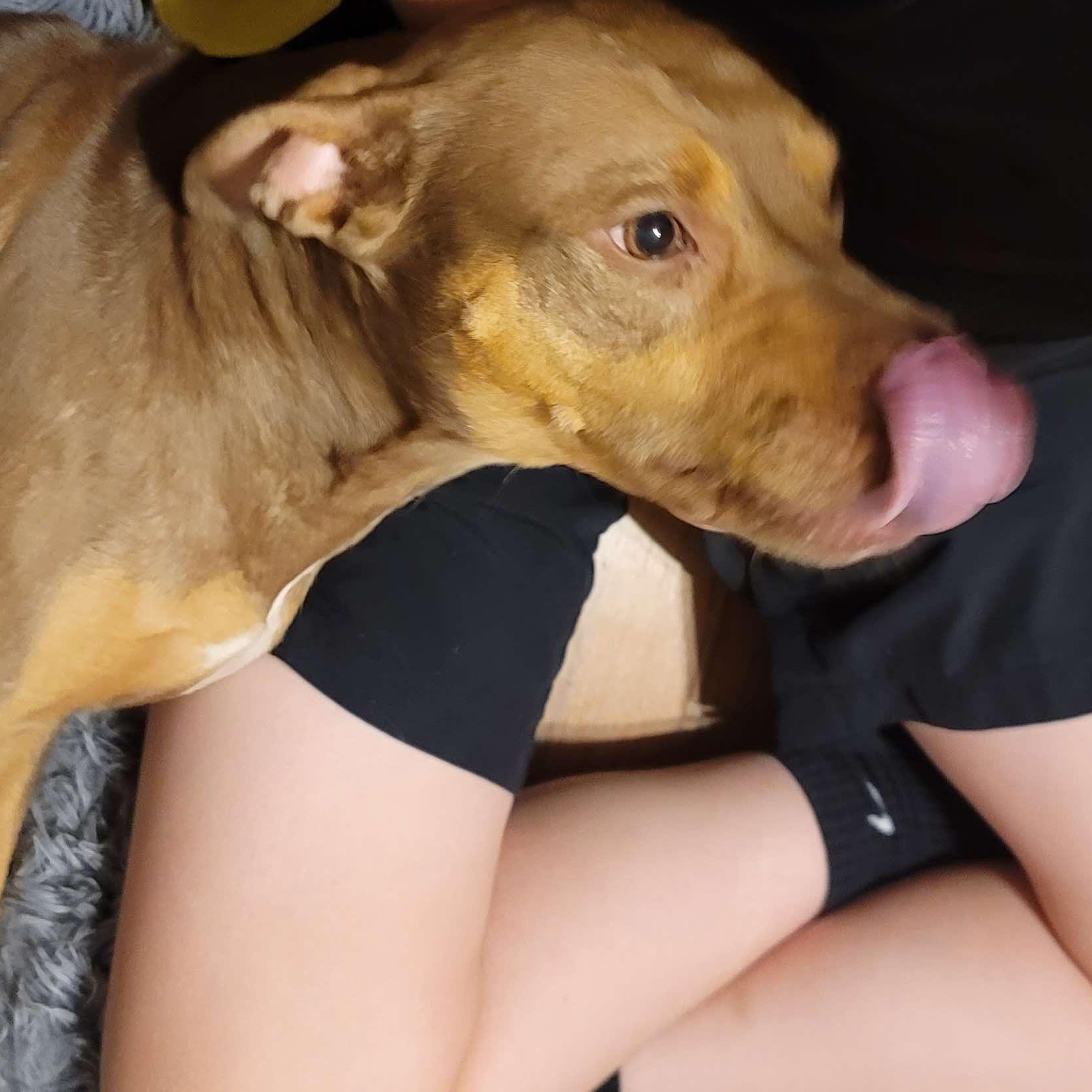 Penny