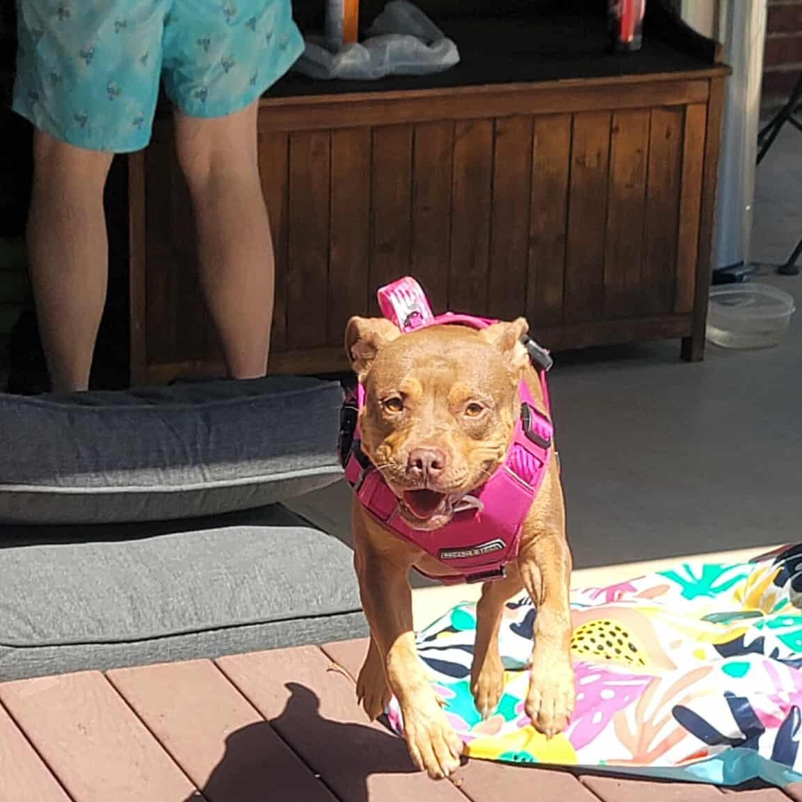 Penny