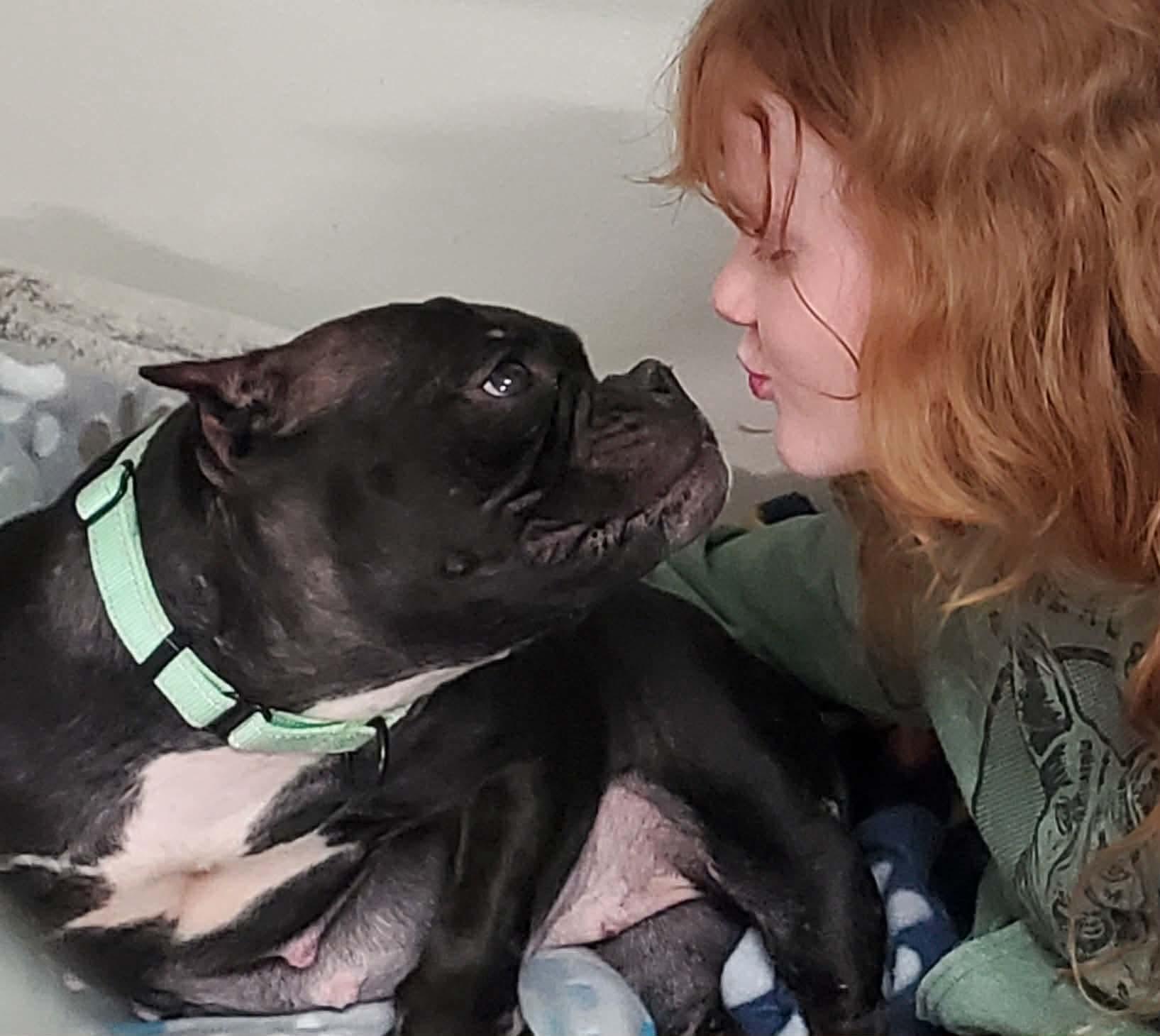 Athena, a Adoptable Mixed Breed in Argyle, NY image 3/6