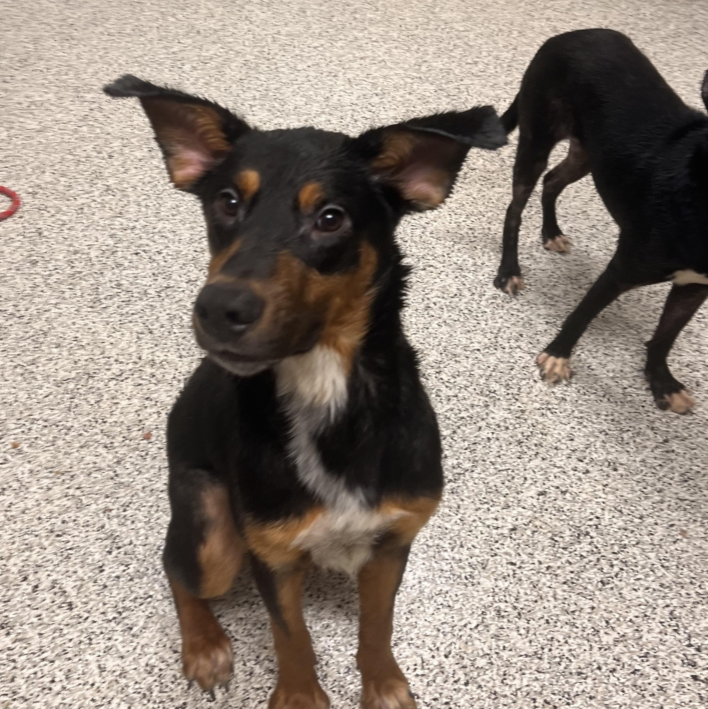 Nicholas thumbnail 4