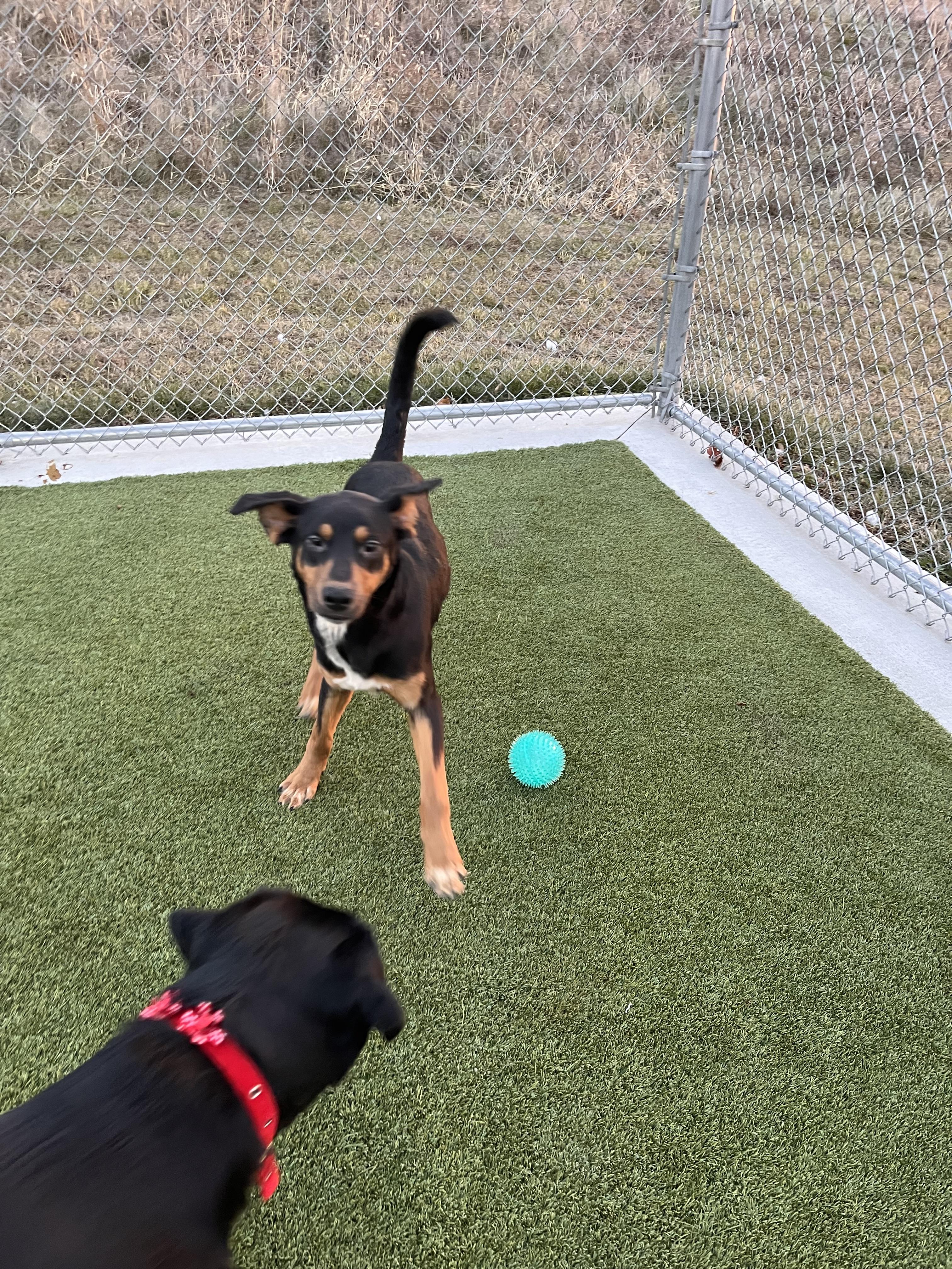 Nicholas thumbnail 5