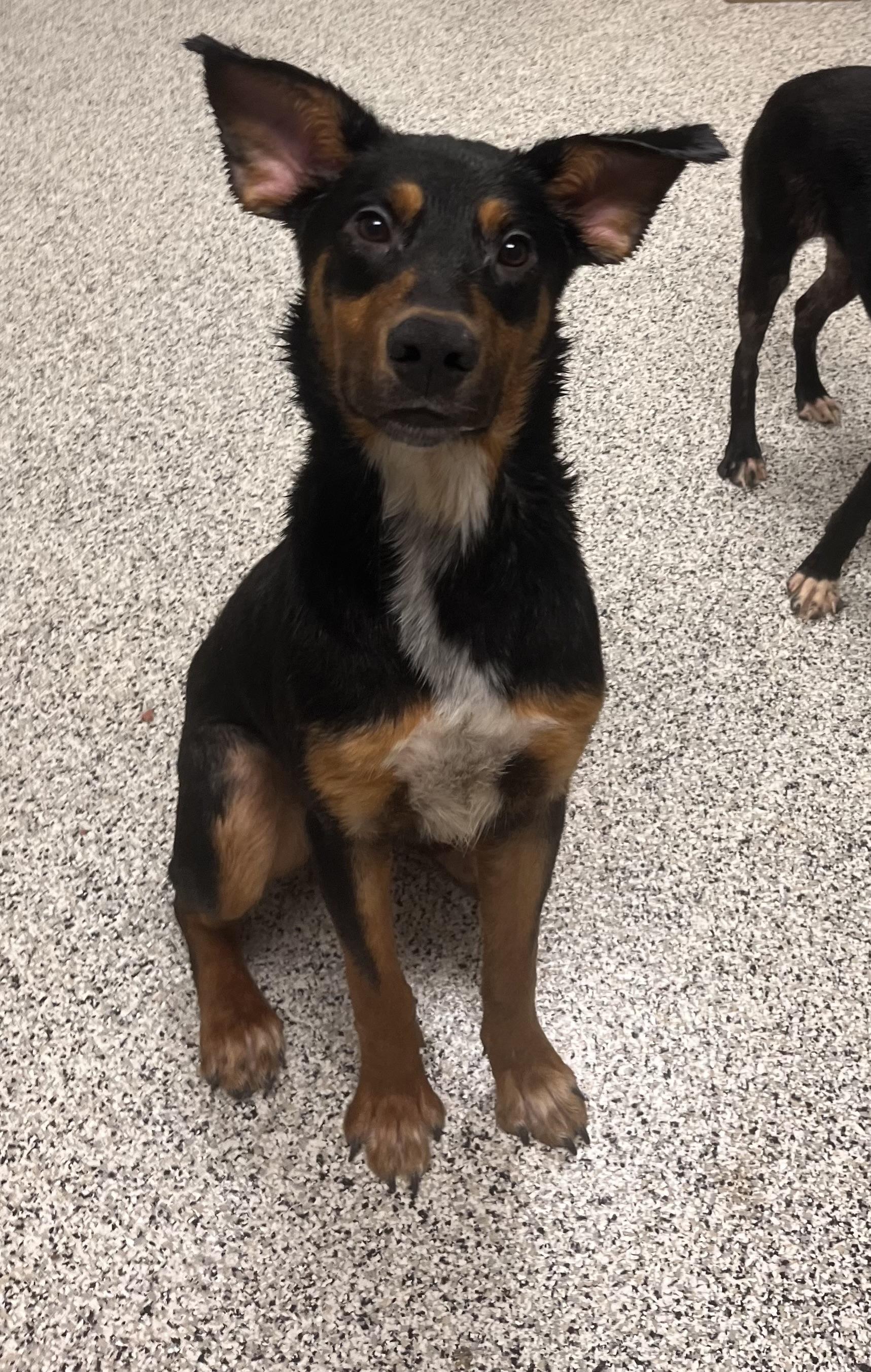 Nicholas thumbnail 6