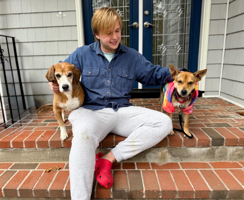 Heather - LOCAL, a Adoptable mixed breed in Princeton, MA image 5/6