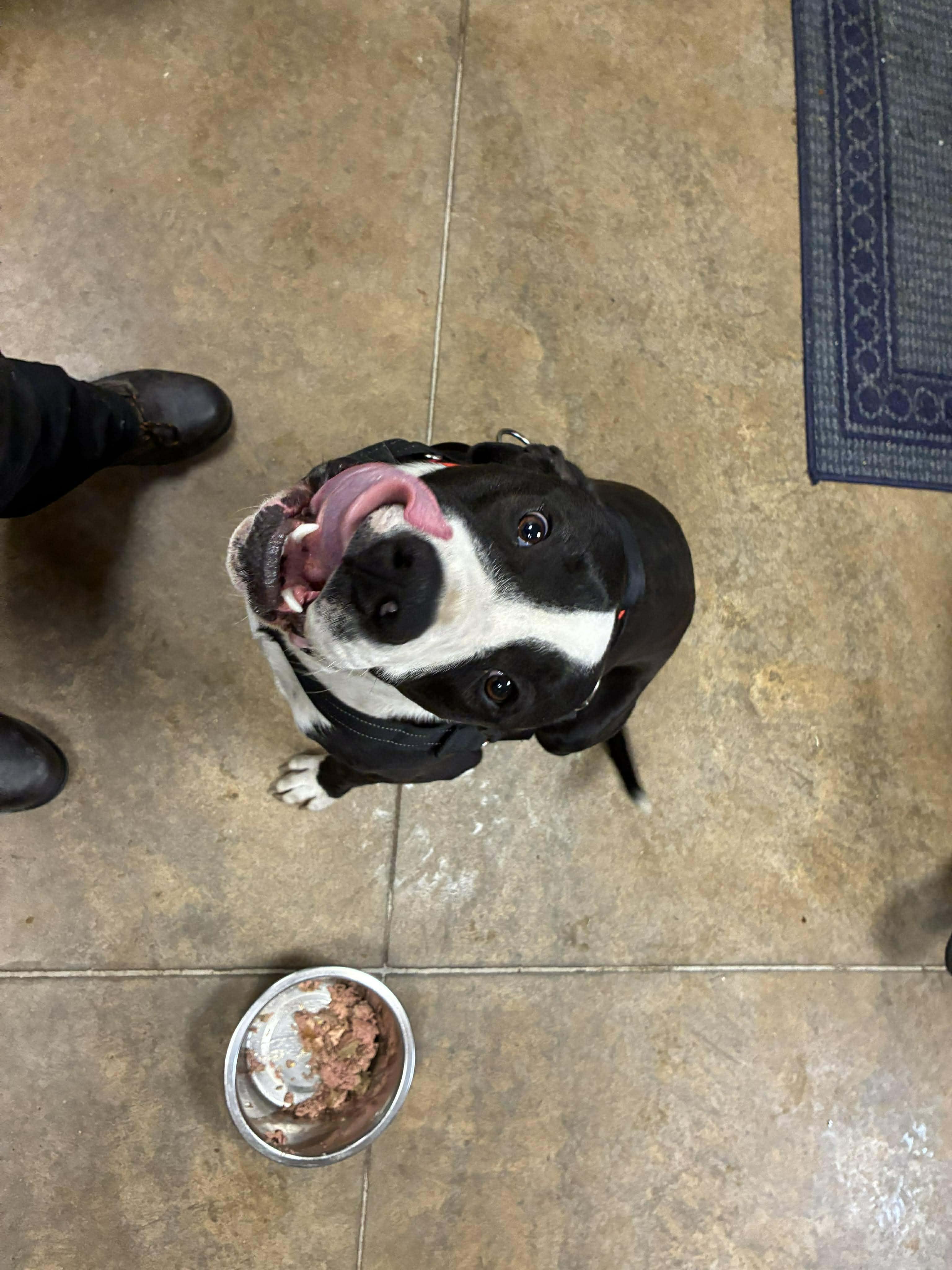 Moose Johnston thumbnail 2