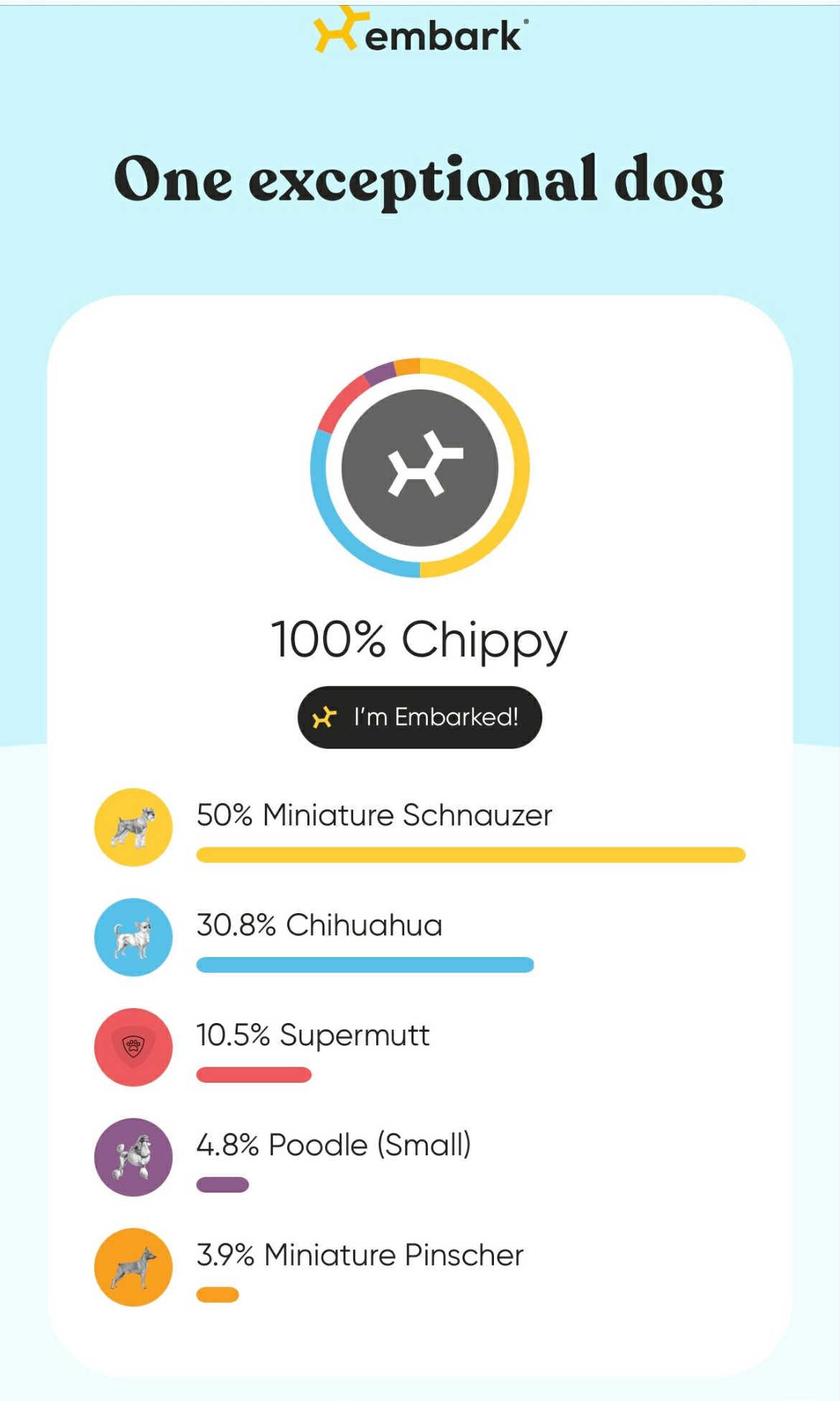 Chip