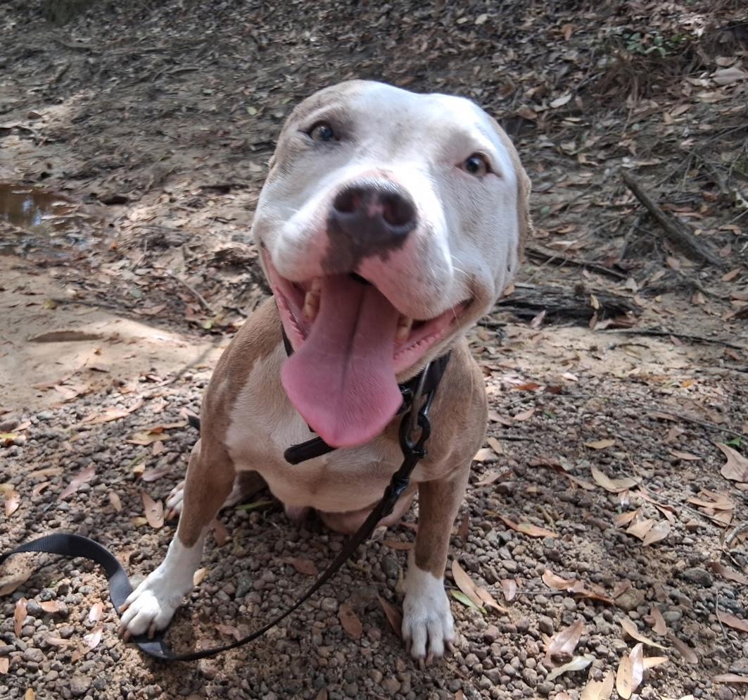 Chaos — thumbnail 4