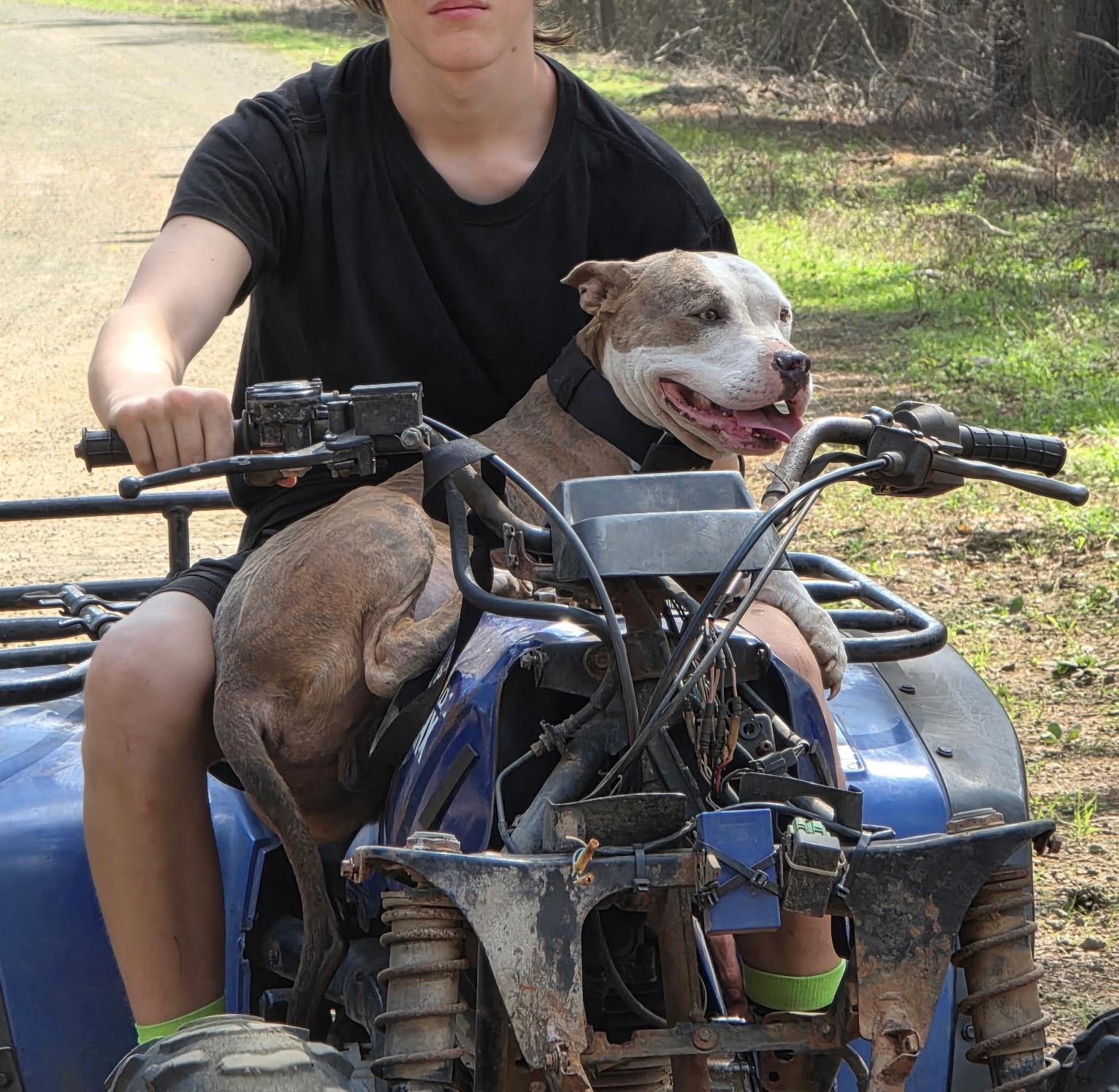 Chaos — thumbnail 6