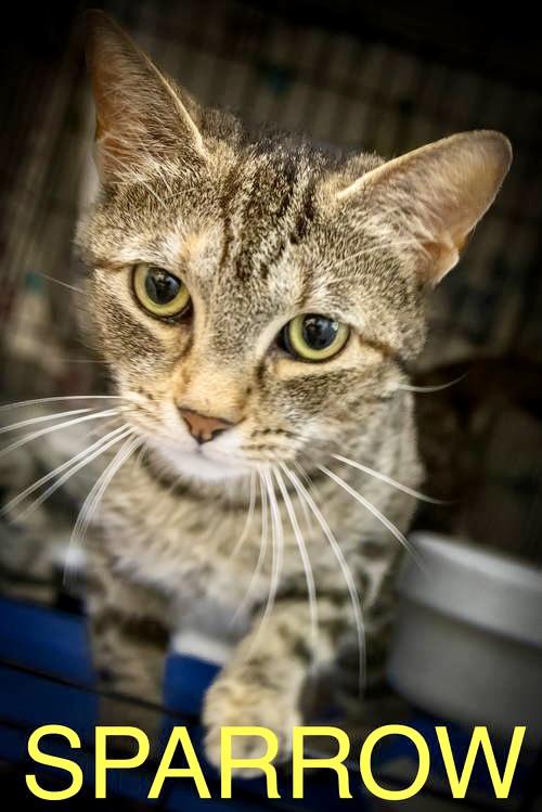 Ladybird thumbnail 2