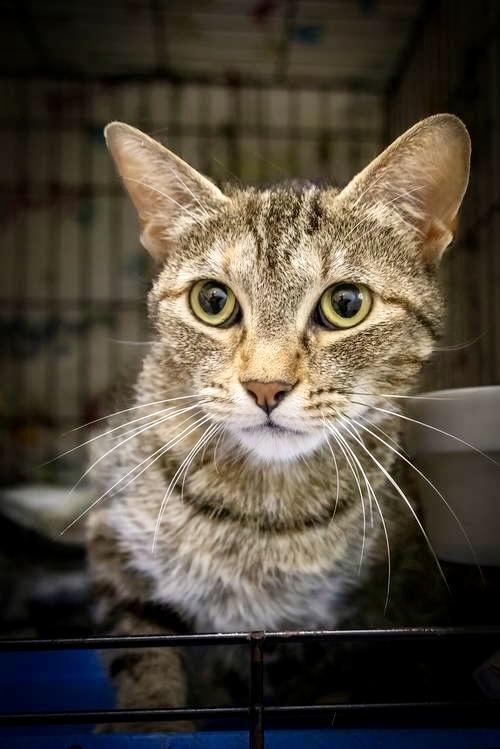 Ladybird thumbnail 3