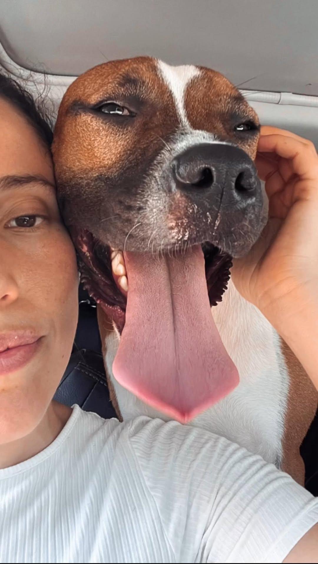 Leonardo thumbnail 5