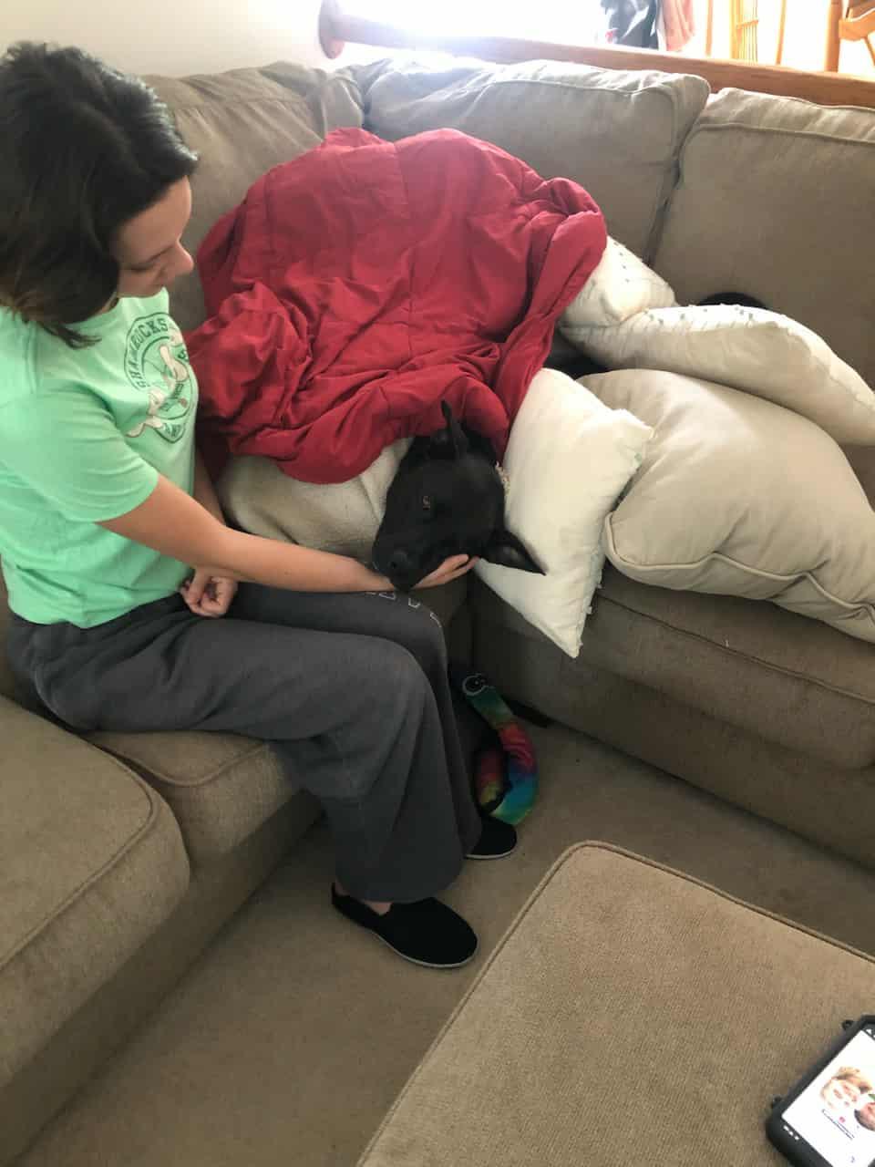 Lexie, a Adoptable mixed breed in Chesapeake Beach, MD image 6/6