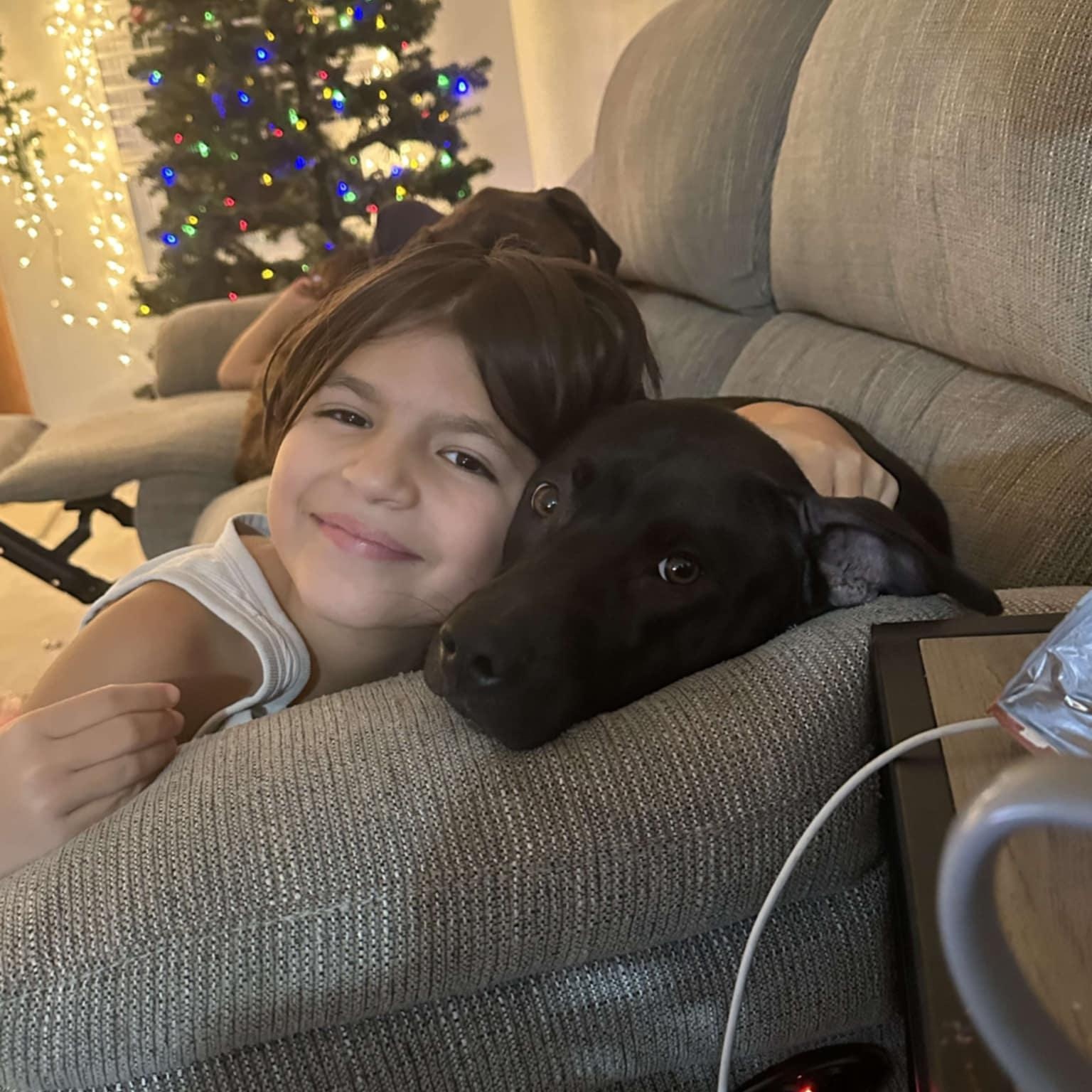 Lexie, a Adoptable mixed breed in Chesapeake Beach, MD image 2/6