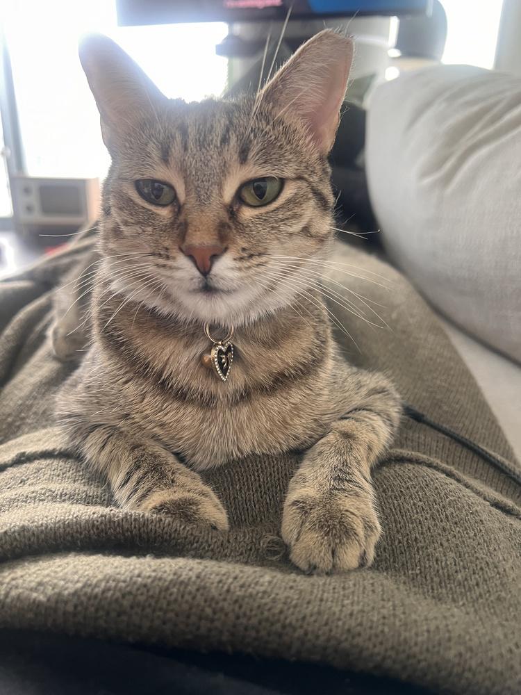 Tiny Hermione — thumbnail 2