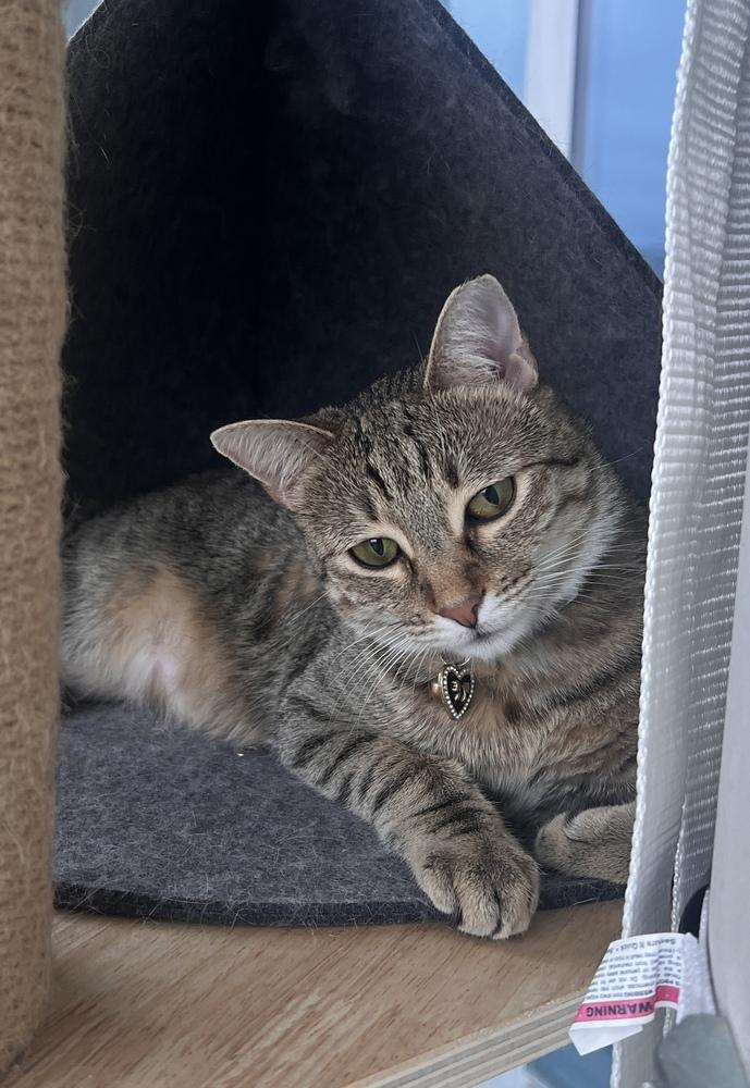 Tiny Hermione — thumbnail 5