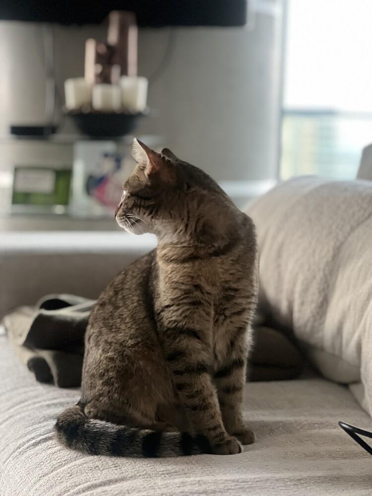 Tiny Hermione — thumbnail 6