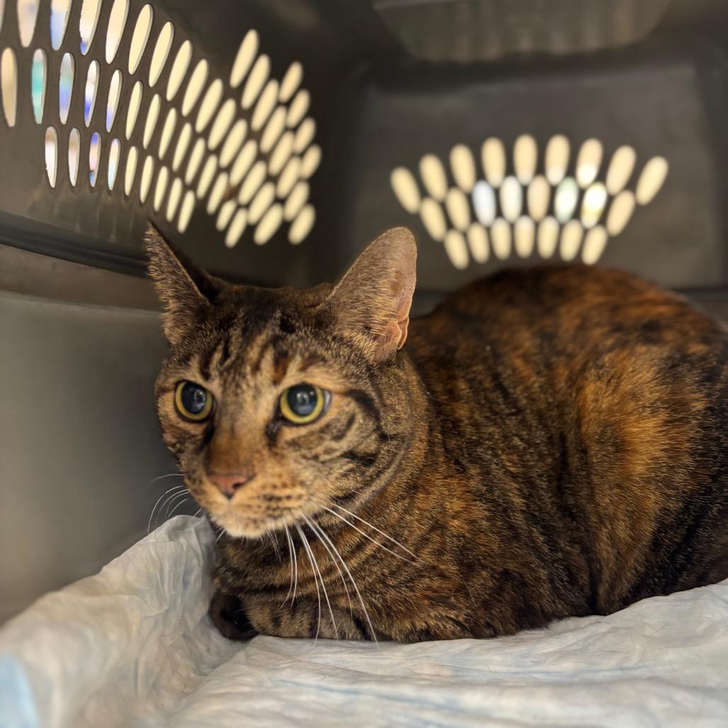 Kait — thumbnail 2