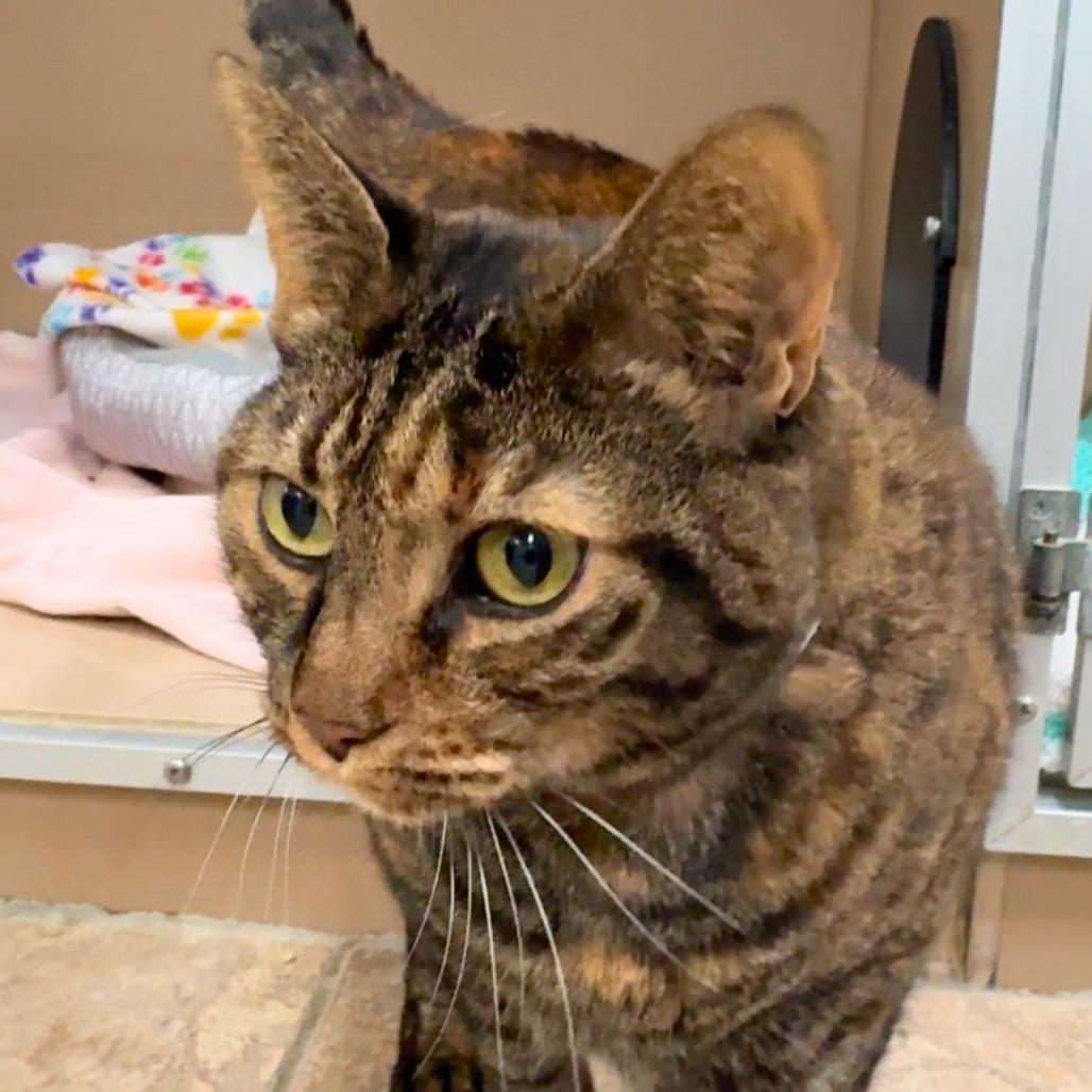 Kait — thumbnail 3