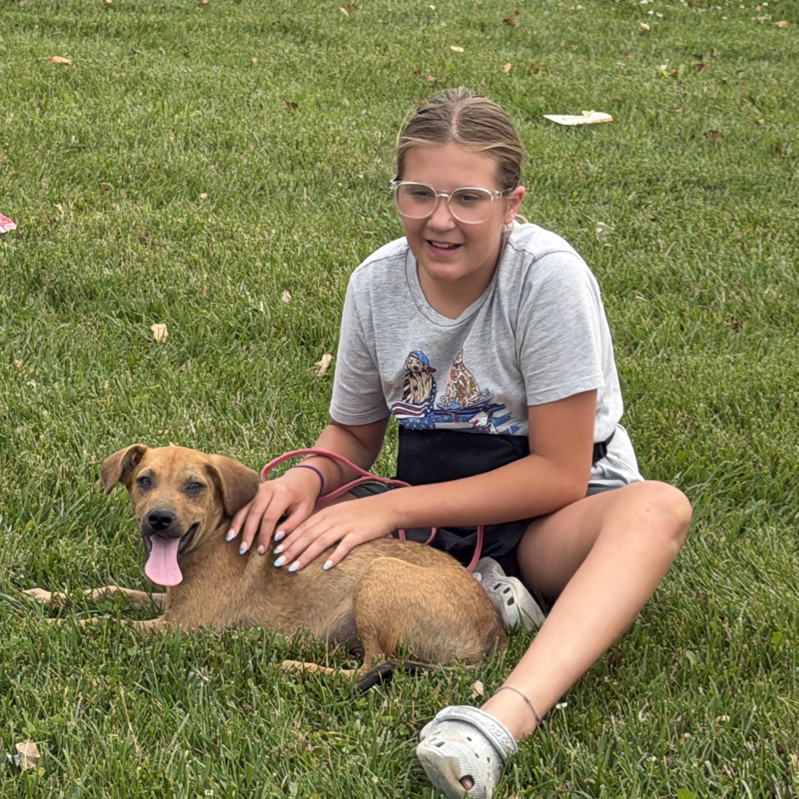 Enlarge Winston, an adopted Mixed Breed in Seville, OH image 6/6