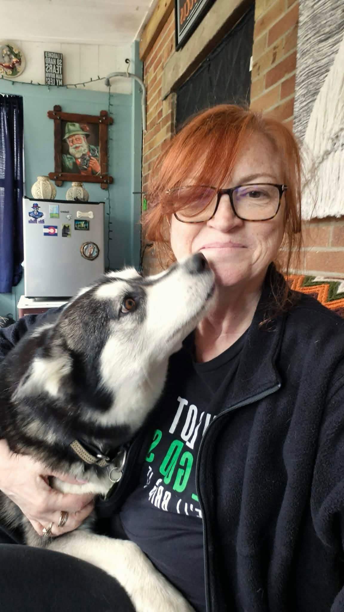 Enlarge Winnie, a Adopted Siberian Husky in Tonawanda, NY image 2/3