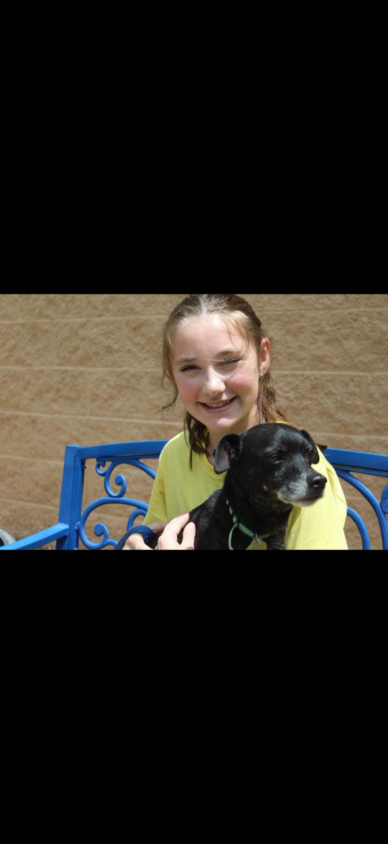 Nicholas, a Adoptable mixed breed in Bradenton, FL image 4/6