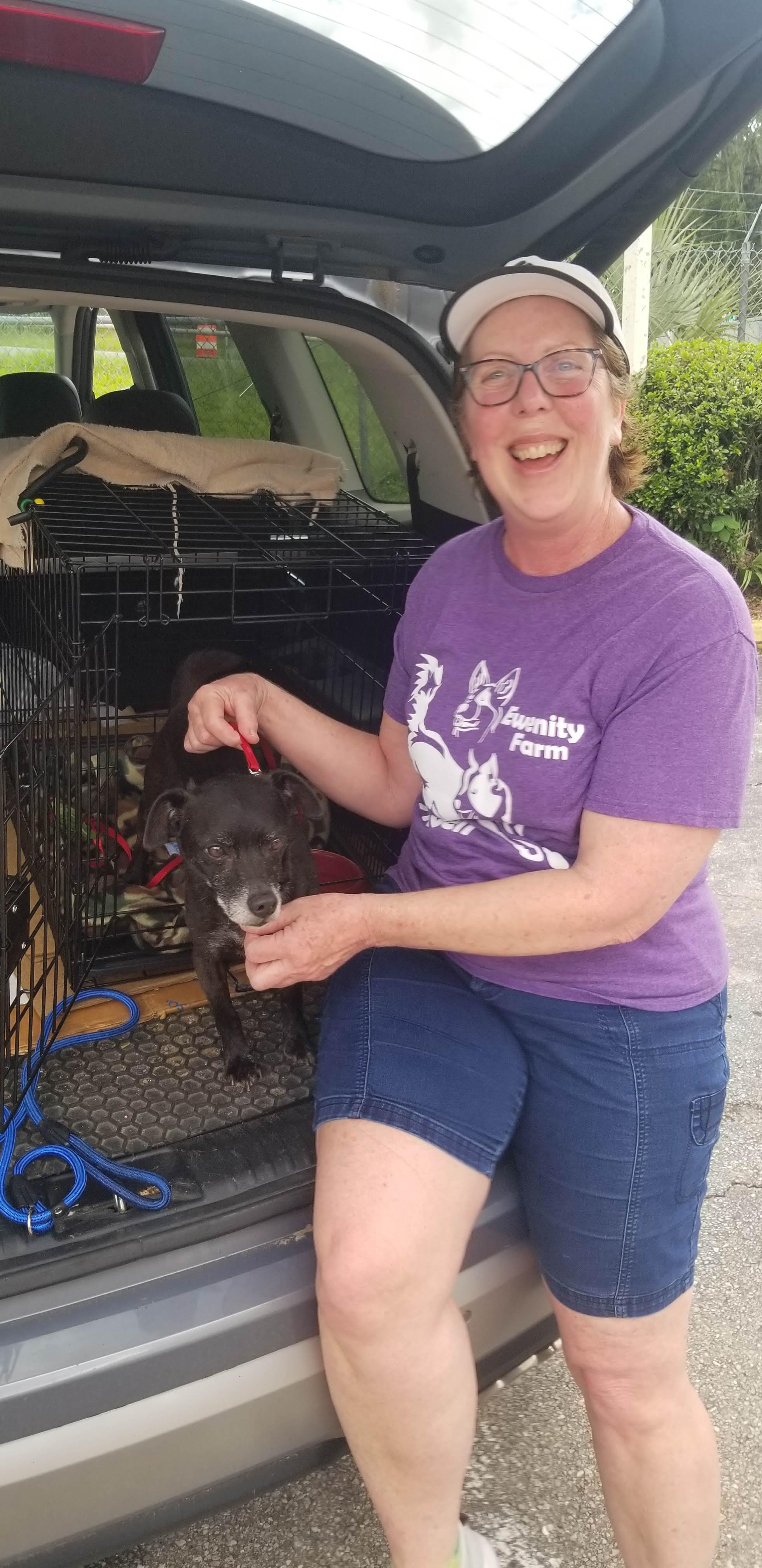 Nicholas, a Adoptable mixed breed in Bradenton, FL image 6/6