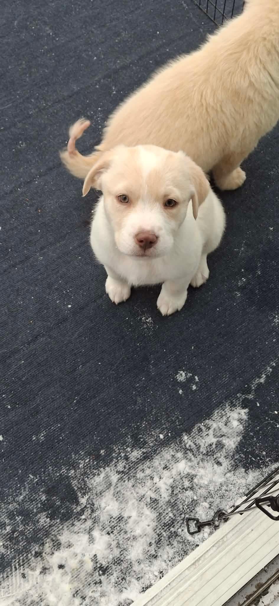 Princess thumbnail 3