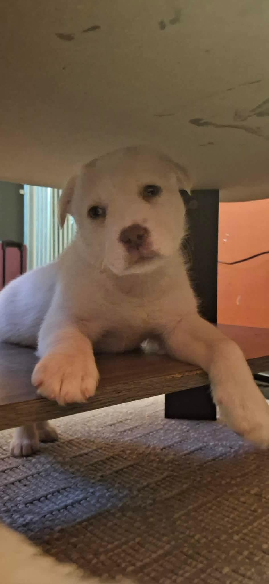 Princess thumbnail 5