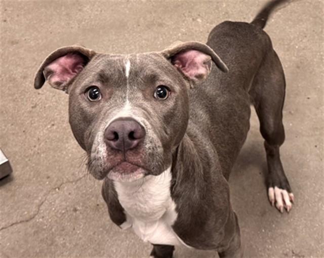 MISTY* — thumbnail 3