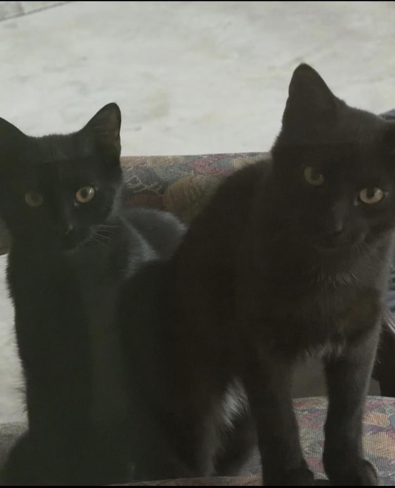 Hershey And Health thumbnail 3