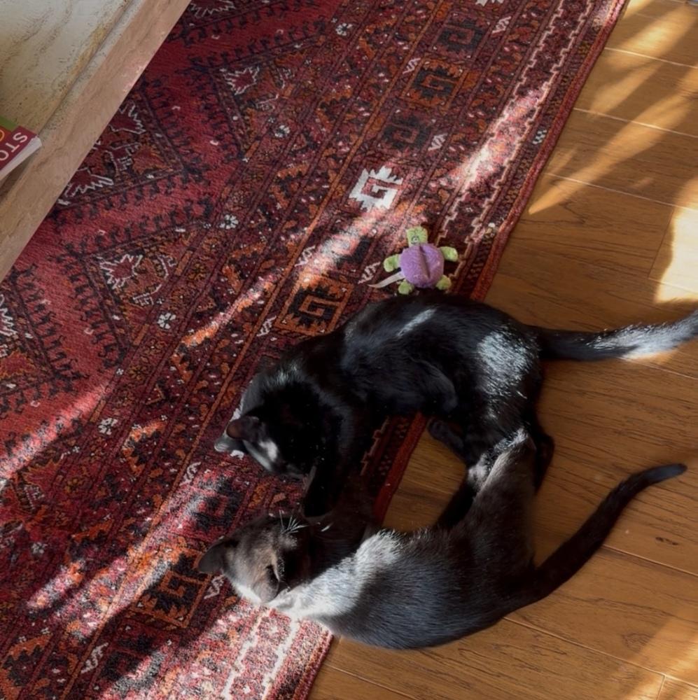 Hershey And Health thumbnail 4