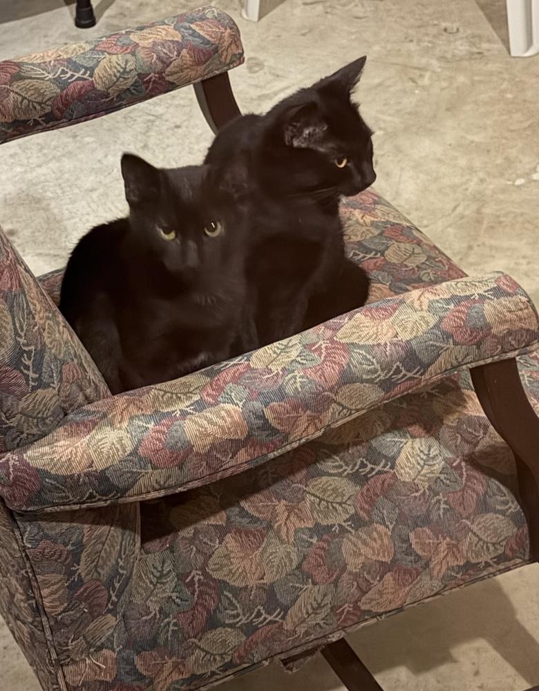 Hershey And Health thumbnail 7