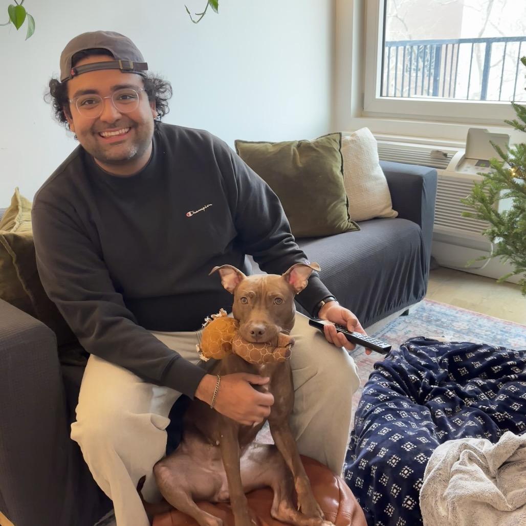 Enlarge Babu, a Adoptable Mixed Breed in Wantagh, NY image 2/6