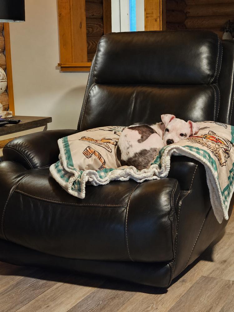 Otis, a Adoptable Pit Bull Terrier in Earleville, MD image 2/2