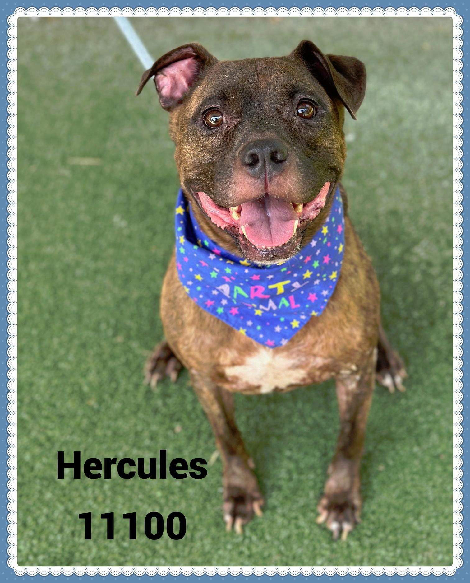 HERCULES
