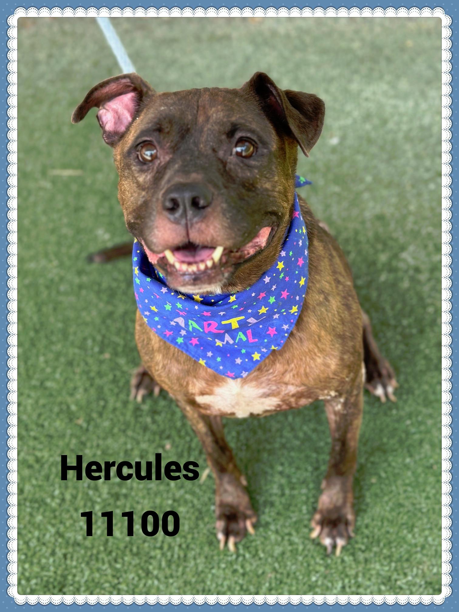 HERCULES
