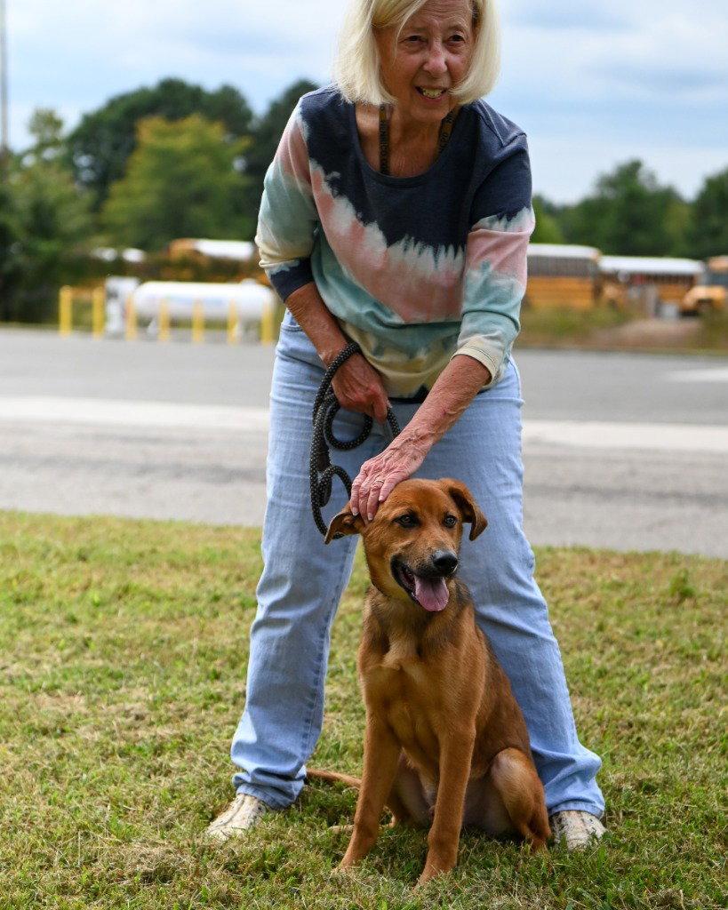 Enlarge DA 45 Stitch, a Adoptable Terrier in Glen Allen, VA image 3/3